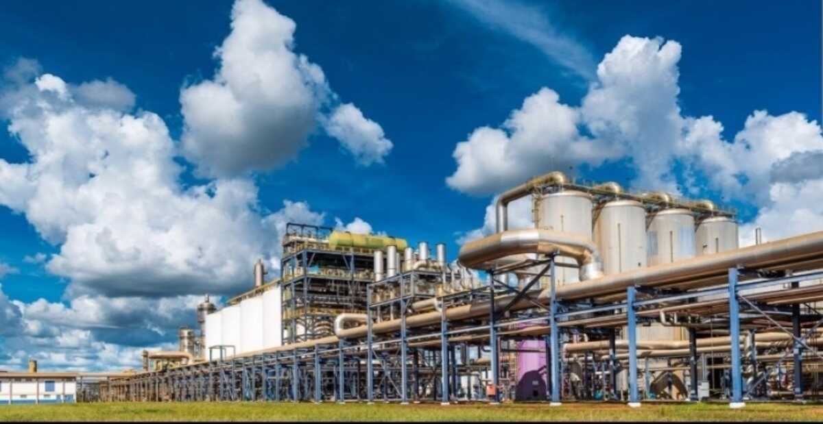 Sheiks do petróleo estão em projeto da 2ª usina de etanol de milho em MS