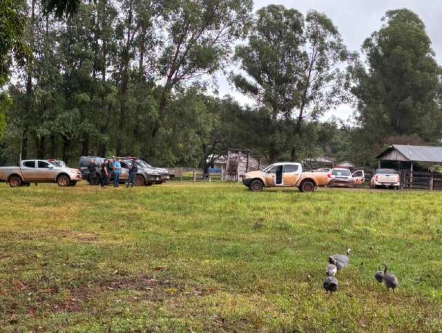 “Aqui, é nosso”: indígenas voltam a ocupar fazenda em Sidrolândia
