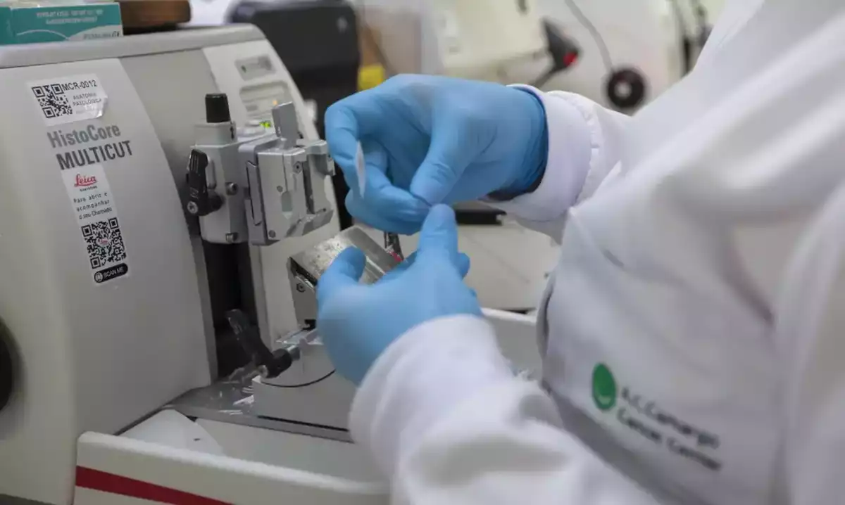 SUS disponibiliza novo tratamento para leucemia mieloide em adultos; entenda