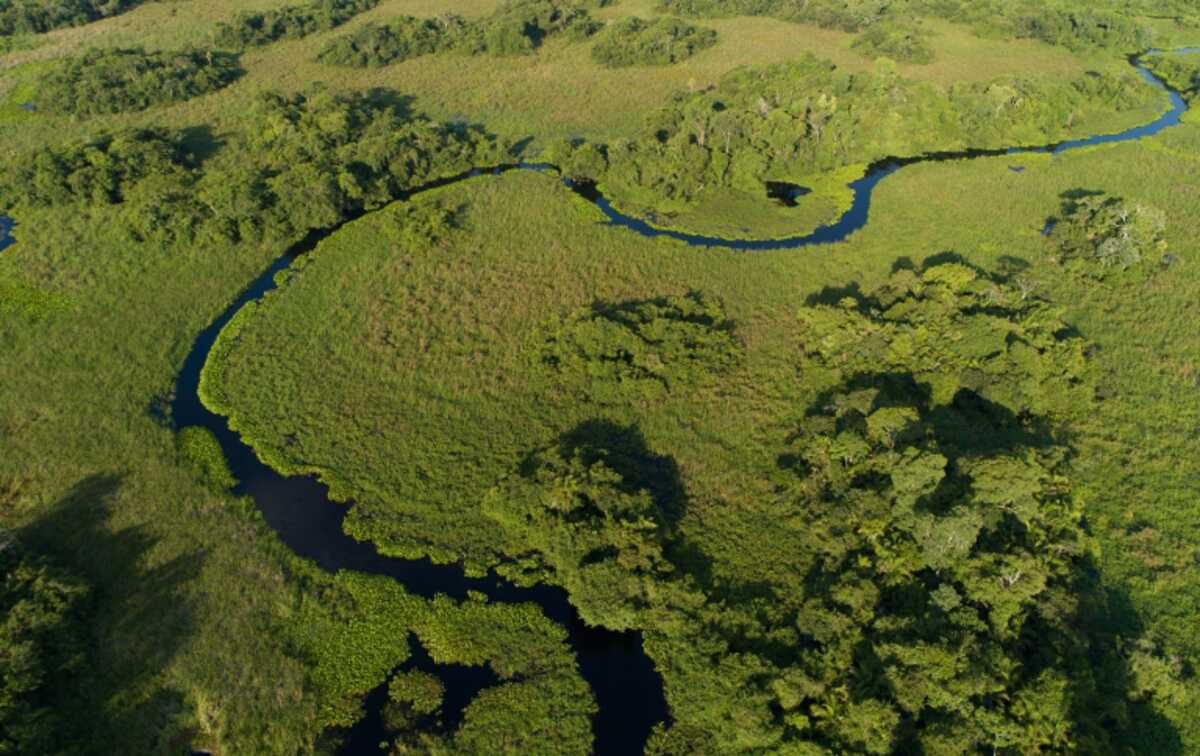 Produtores se opõem à criação de refúgio ambiental em MS