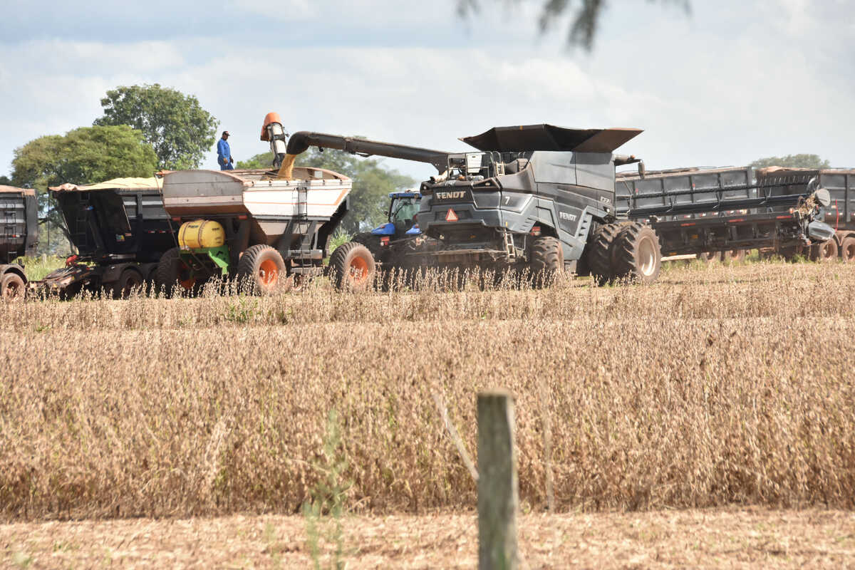 Dispara número de empresas do agro em recuperação judicial