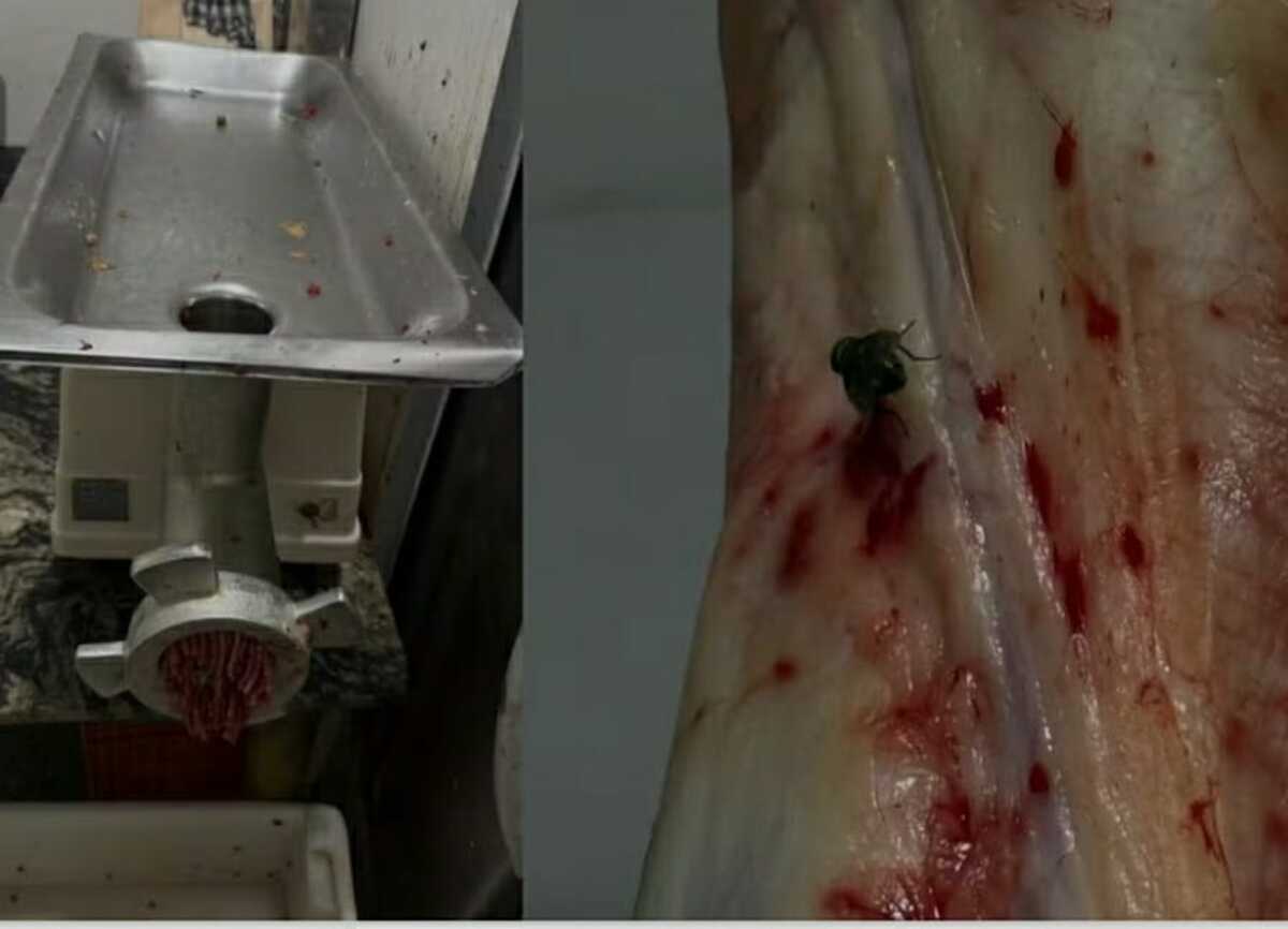Açougue é interditado por produção irregular de carnes em Campo Grande