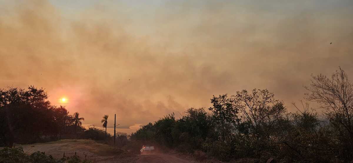 Município de MS tem maior área queimada do Brasil nos últimos 40 anos