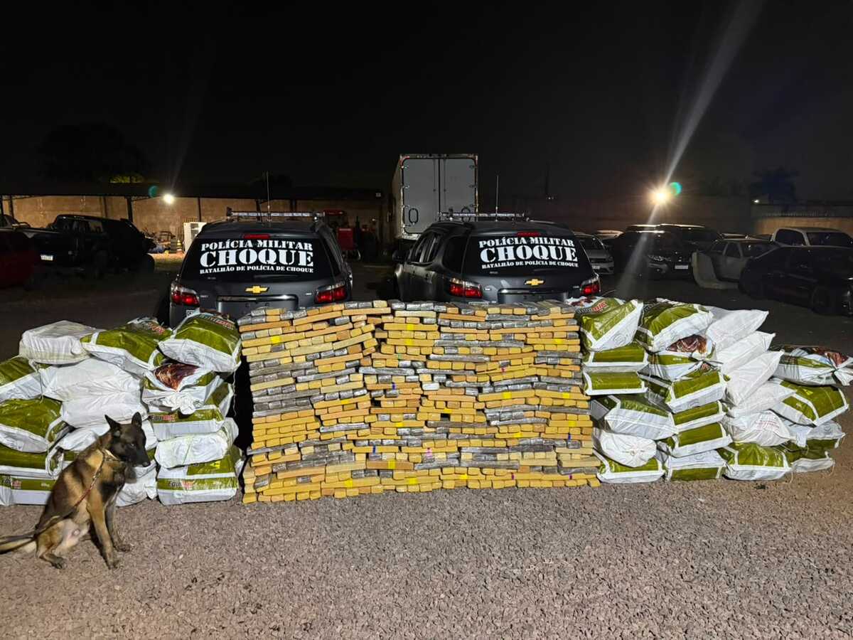 Choque apreende 1,2 tonelada de maconha em Campo Grande